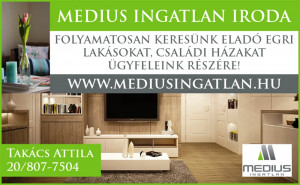 MEDIUS INGATLAN